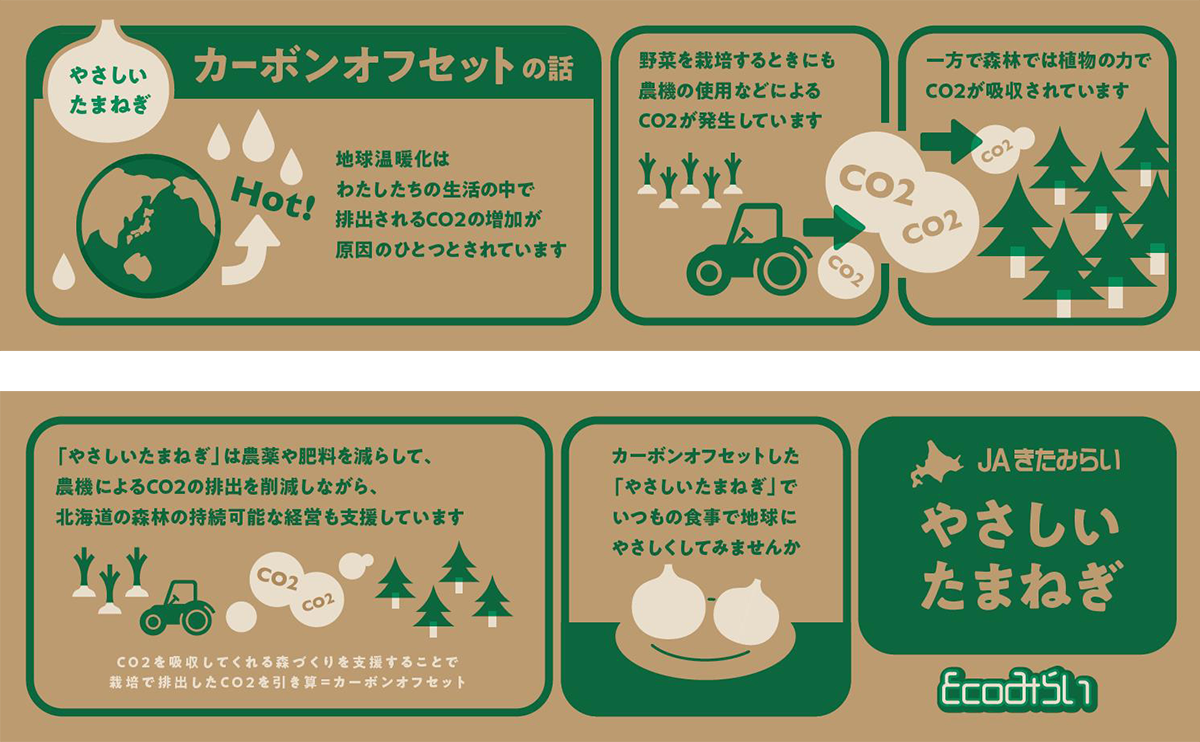 やさしいたまねぎ段ボール やさしいたまねぎ段ボール