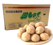 特別栽培じゃがいも 男しゃく 訓子府町馬鈴薯耕作組合 減農薬研究部会