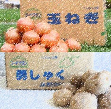 フードプランのたまねぎ・じゃがいも フードプランのたまねぎ・じゃがいも
