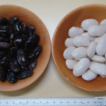 白花豆、紫花豆