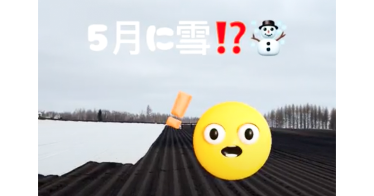 まさかの雪?白い物体の真相を追え!!