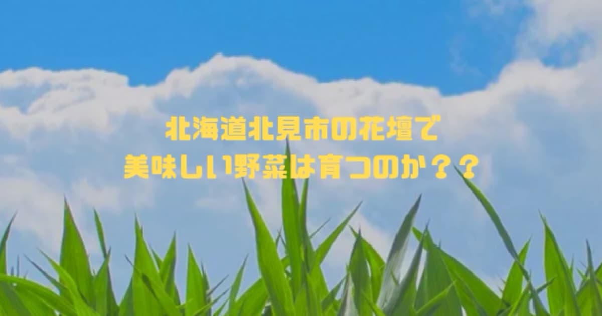きたみらい農園プロジェクト！
