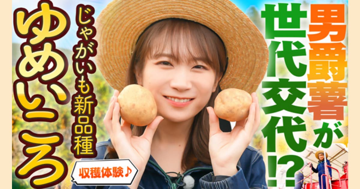 新品種じゃがいも“ゆめいころ“ × 秋元真夏さん収穫動画公開！