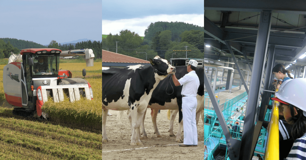 広報誌担当者が選ぶ！10月号のベストショット！