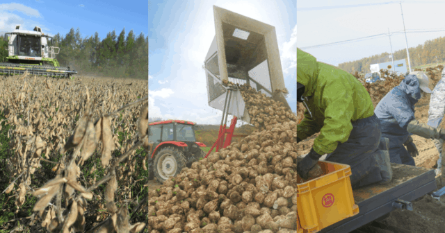 広報誌担当者が選ぶ！11月号のベストショット！