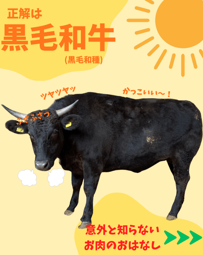 黒毛和牛