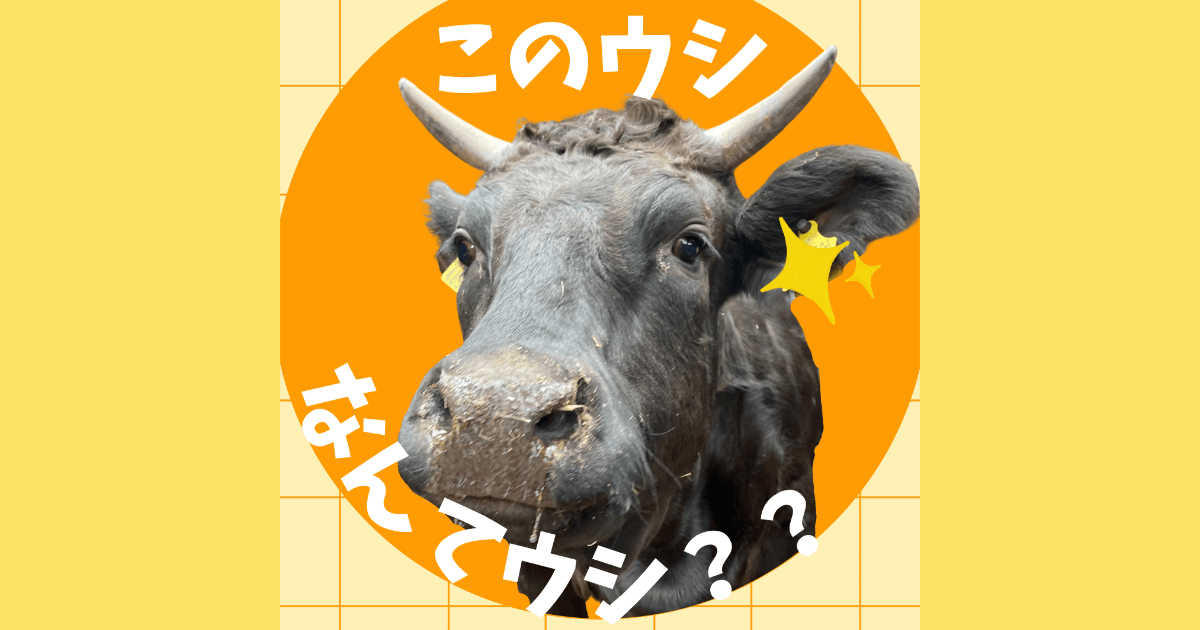このウシ、なんてウシ？