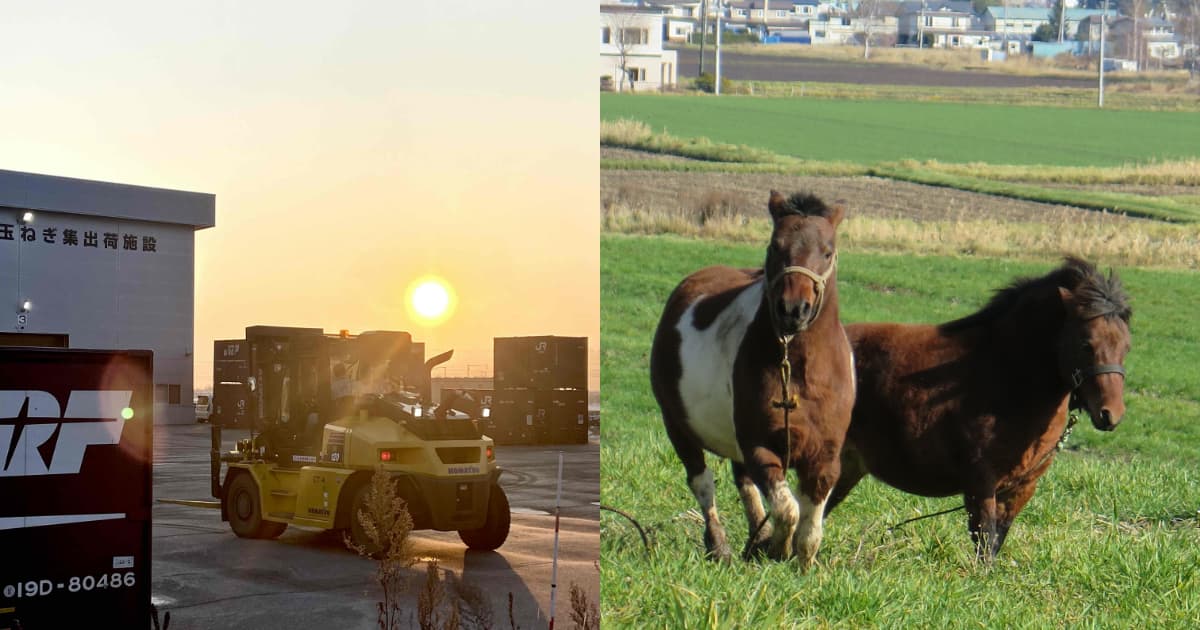 広報誌担当者が選ぶ！新年号のベストショット！