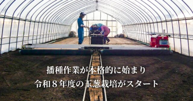 玉葱栽培がスタートしました。