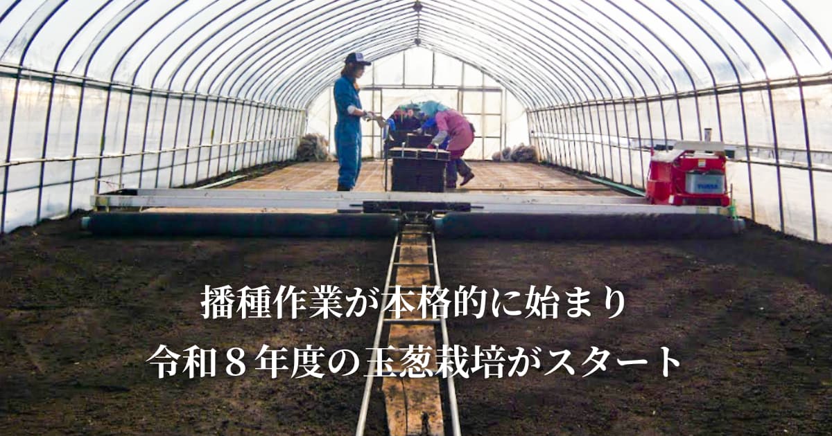 玉葱栽培がスタートしました。