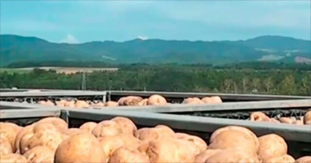 🥔🚛💨 ゆめいころ、いってきまーす!
